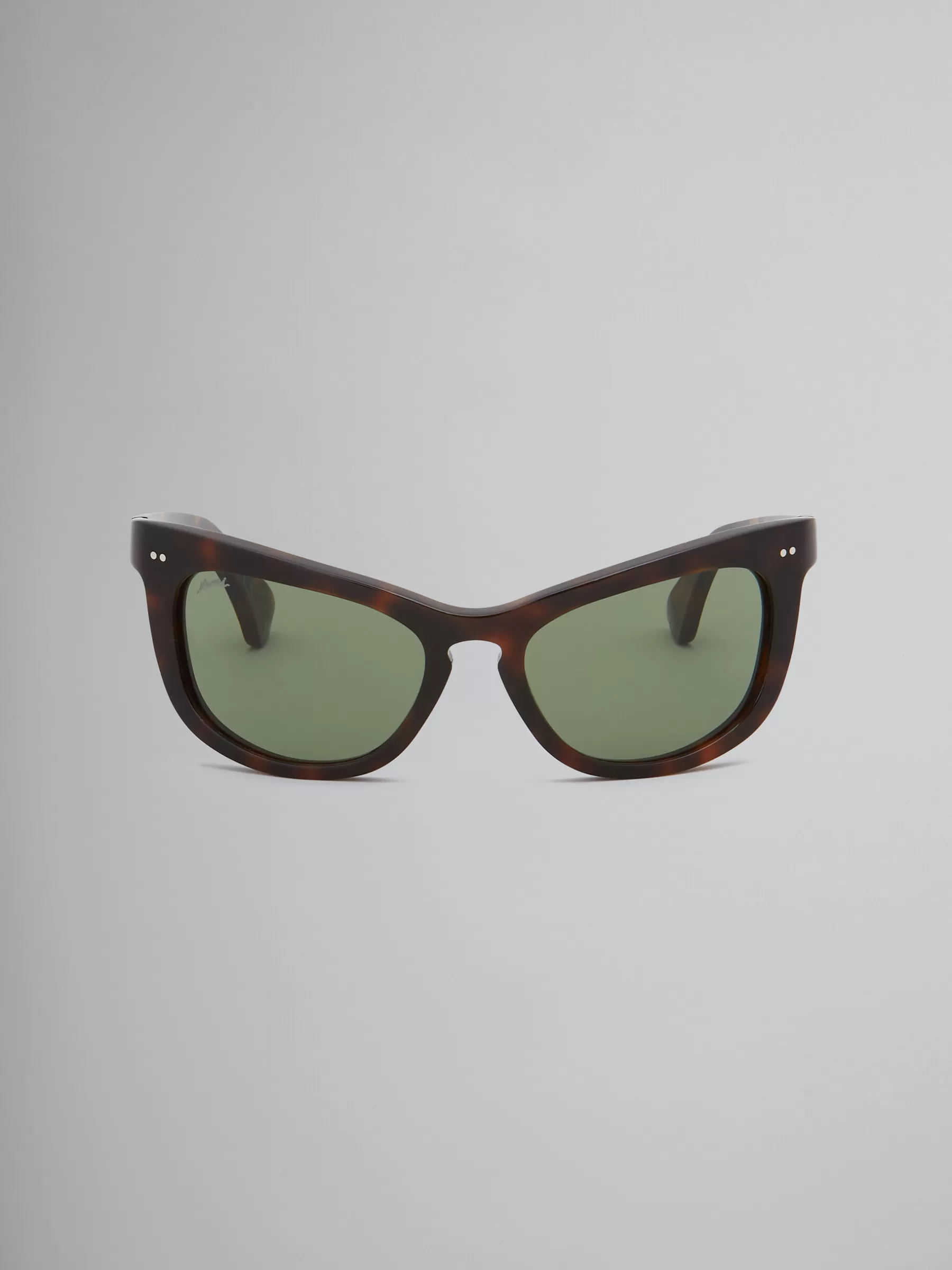 Marni Isamu Sunglasses HAVANA Best