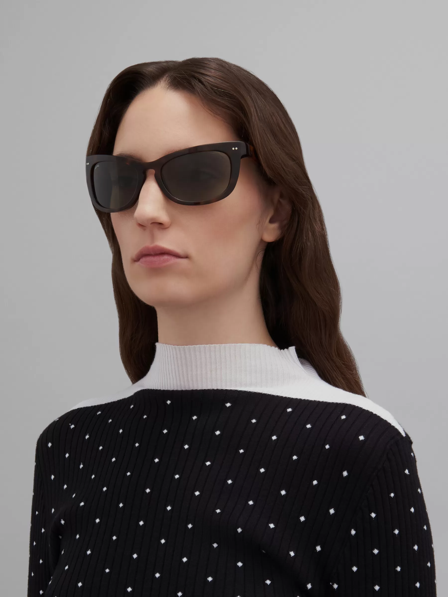 Marni Isamu Sunglasses HAVANA Best